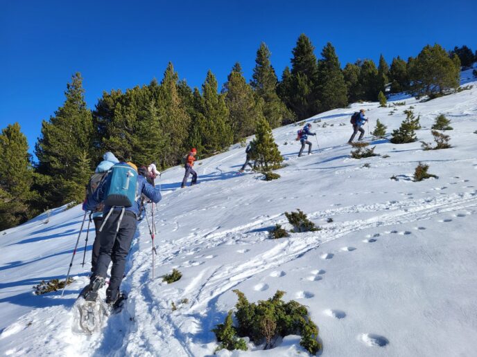 nouvel an pyrénées : rando raquettes dans la vallée du louron
