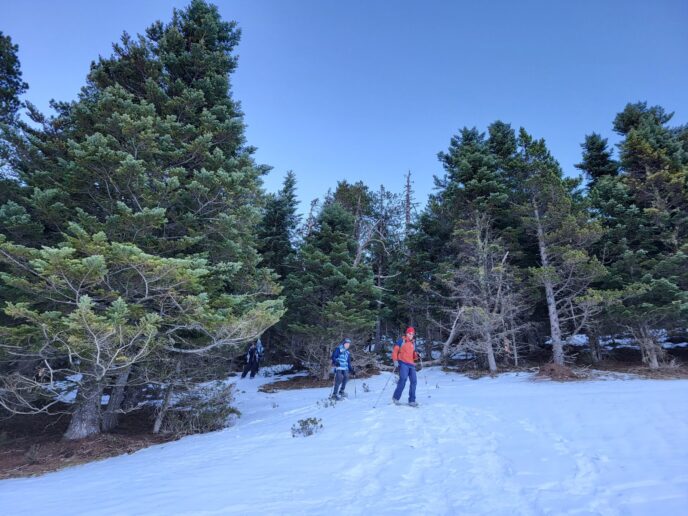 nouvel an pyrénées : rando raquettes dans la vallée du louron