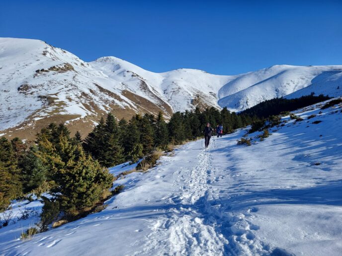 nouvel an pyrénées : rando raquettes dans la vallée du louron