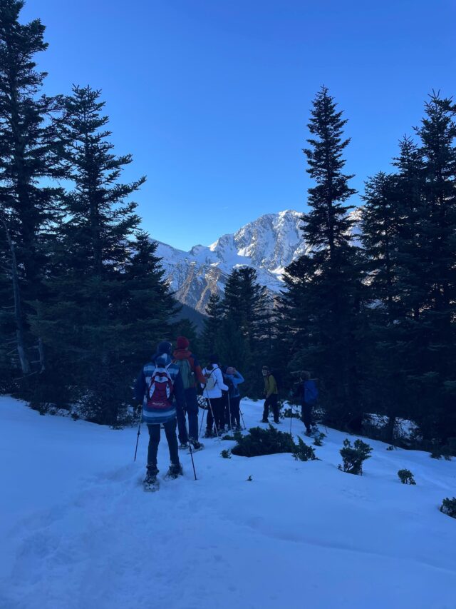 nouvel an pyrénées : rando raquettes dans la vallée du louron