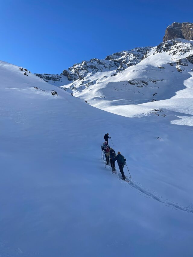 nouvel an pyrénées : rando raquettes dans la vallée du louron