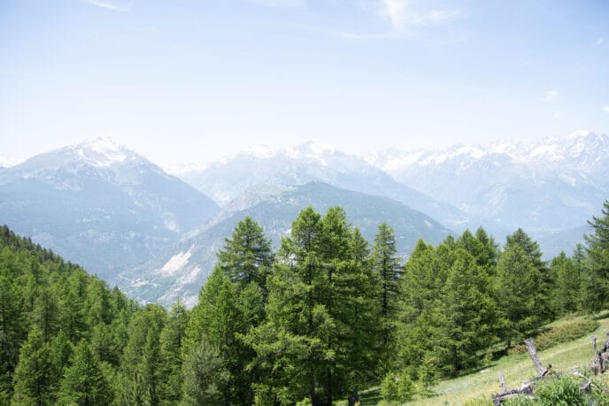 cani rando itinérante en refuge et bivouac dans les Écrins