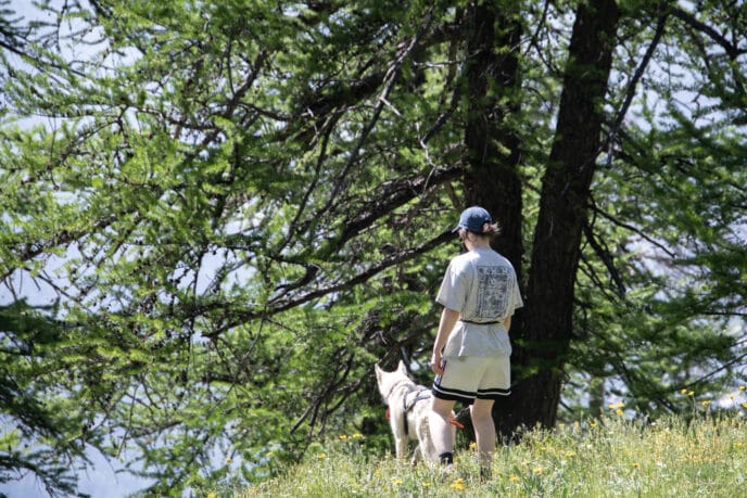 cani rando itinérante en refuge et bivouac dans les Écrins