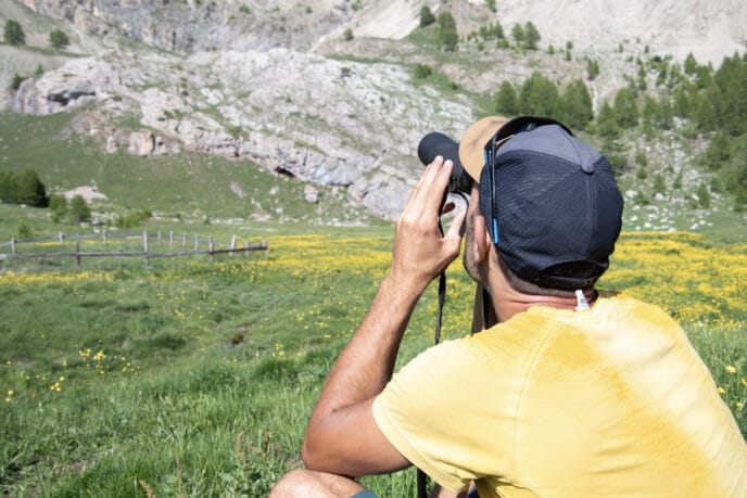 cani rando itinérante en refuge et bivouac dans les Écrins
