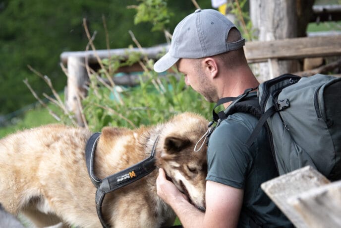 cani rando itinérante en refuge et bivouac dans les Écrins