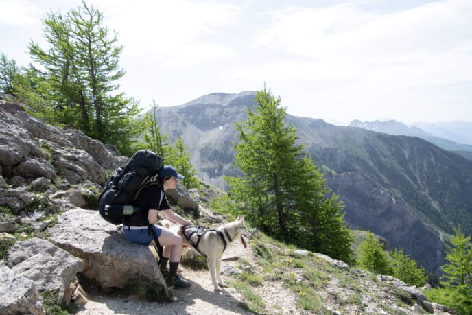 cani rando itinérante en refuge et bivouac dans les Écrins