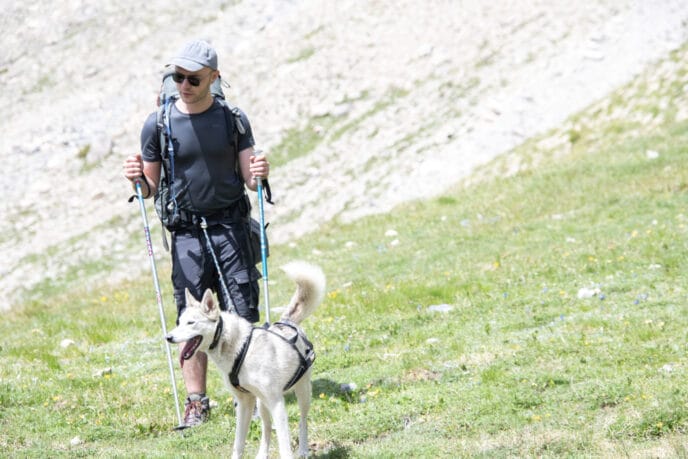cani rando itinérante en refuge et bivouac dans les Écrins