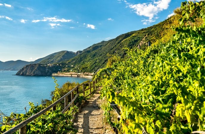 Randonnée en Italie dans les Cinque Terre, en refuge – Image 10