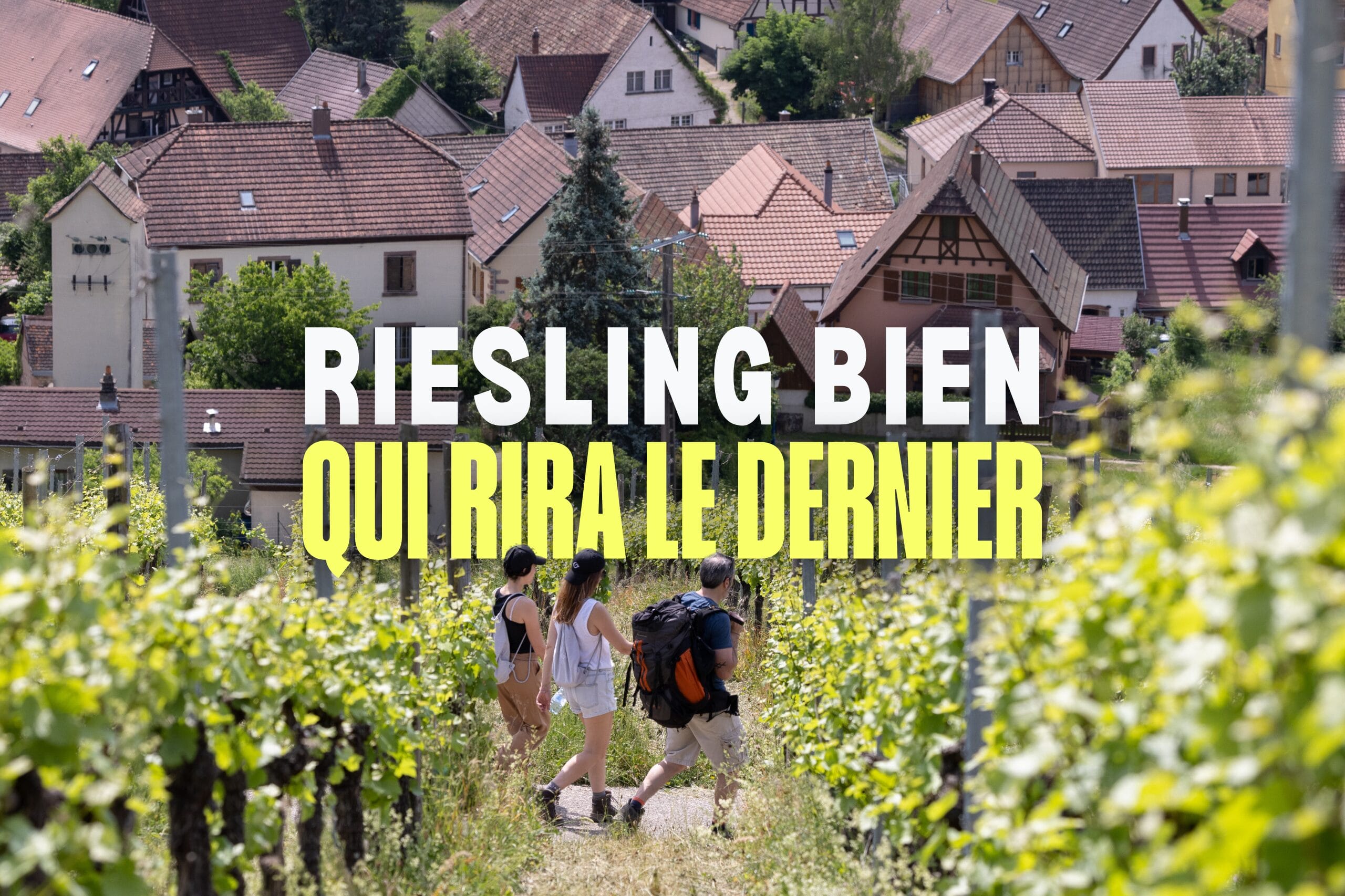 RIESLING BIEN QUI RIRA LE DERNIER  : Week-end randonnée et dégustation dans le vignoble d'Alsace