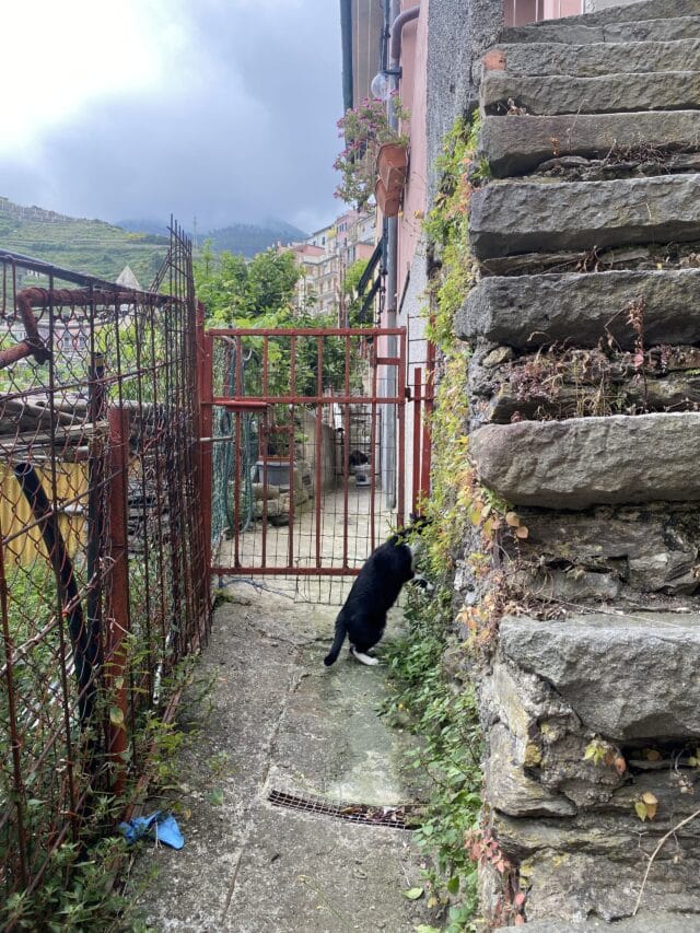 randonnée en italie dans les cinque terre, en auberge