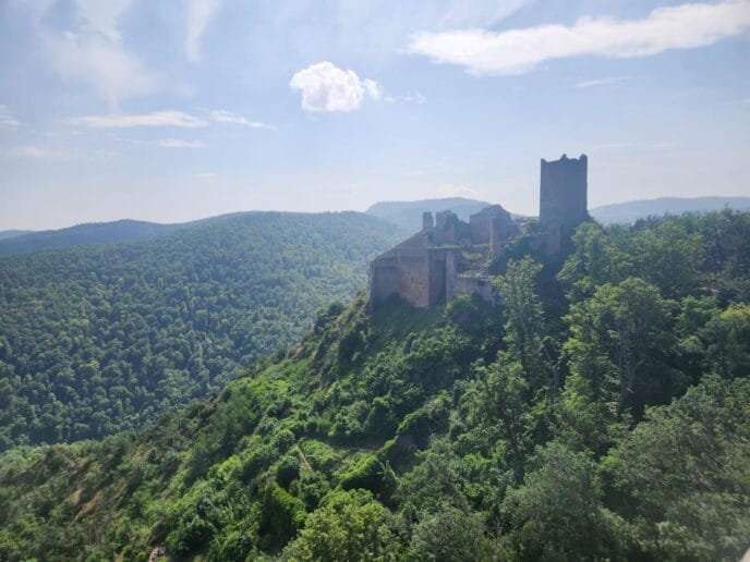 week end randonnée et dégustation dans le vignoble d'alsace