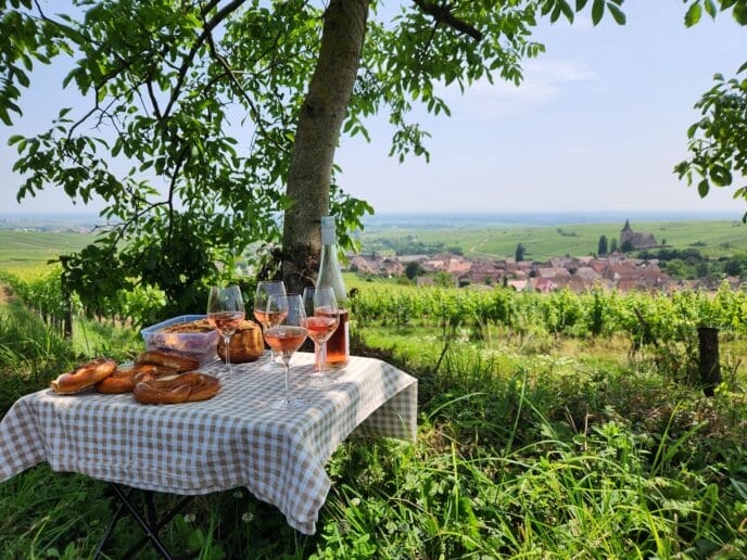 week end randonnée et dégustation dans le vignoble d'alsace