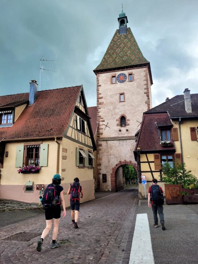 week end randonnée et dégustation dans le vignoble d'alsace