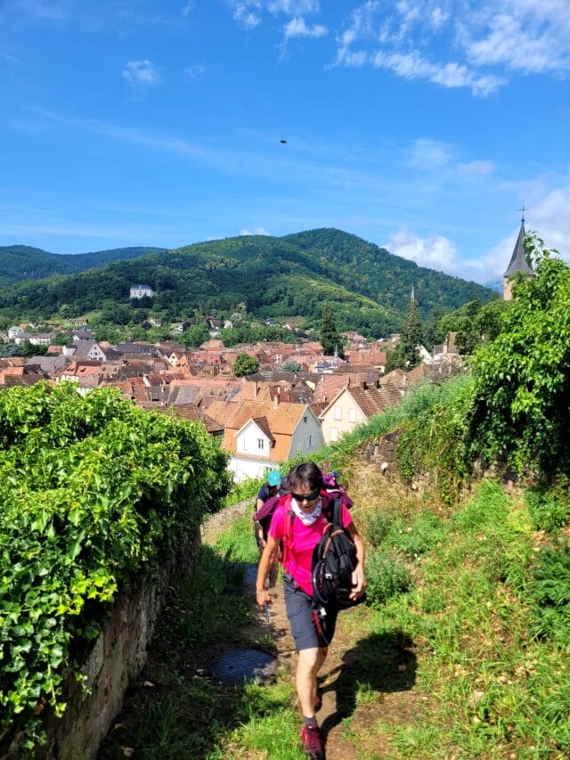 week end randonnée et dégustation dans le vignoble d'alsace
