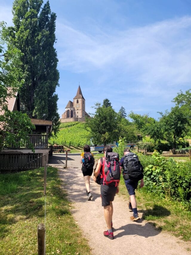 week end randonnée et dégustation dans le vignoble d'alsace