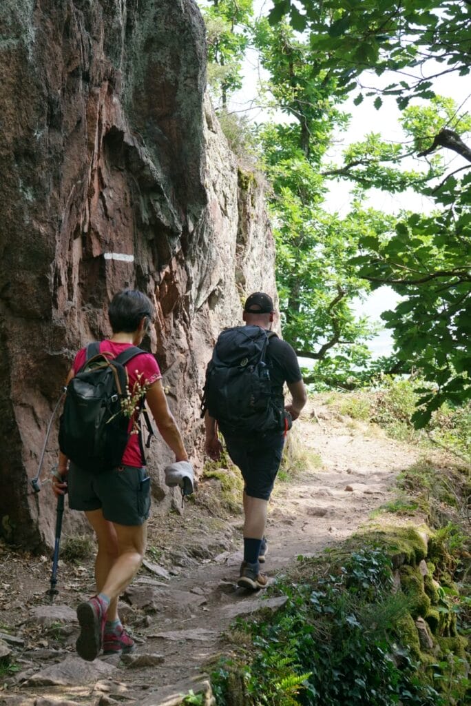 week end randonnée et dégustation dans le vignoble d'alsace