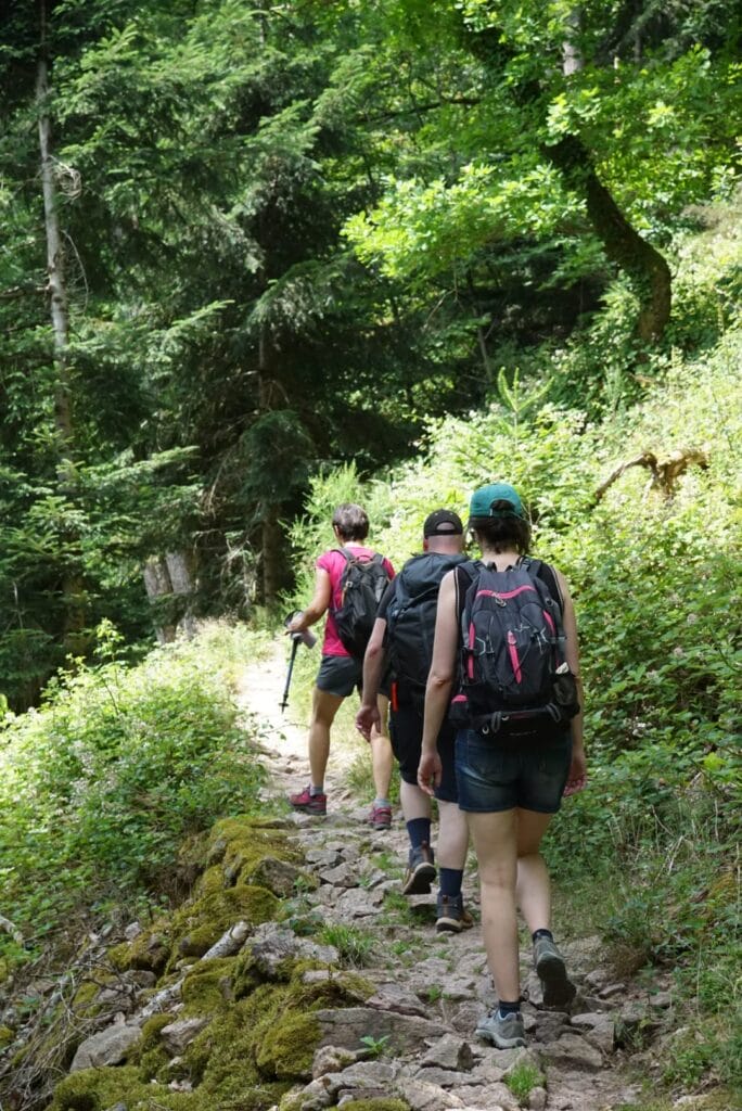week end randonnée et dégustation dans le vignoble d'alsace