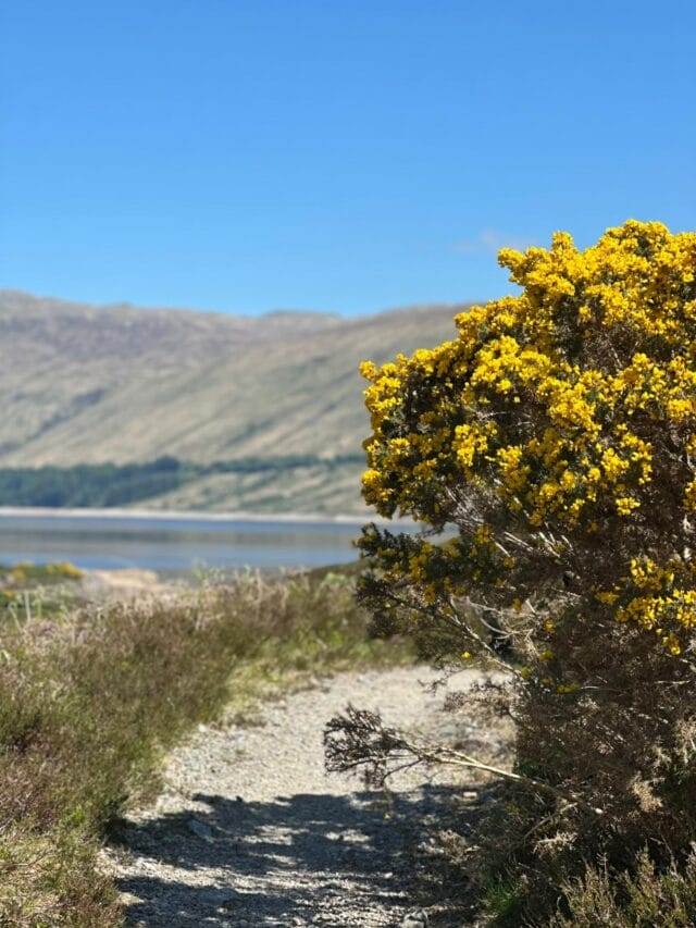 trek en Écosse : la traversée intégrale des highlands
