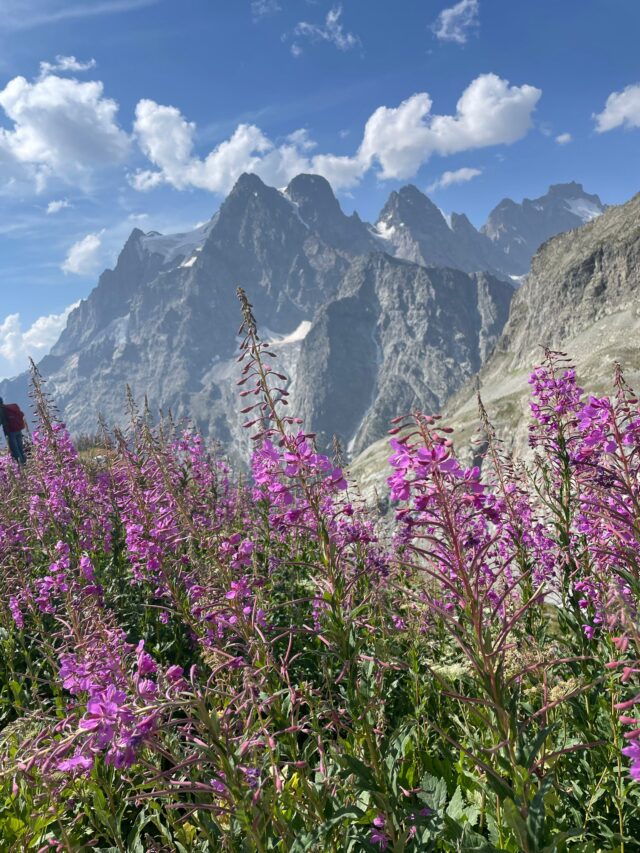 trek : le tour des glaciers des Écrins en refuge