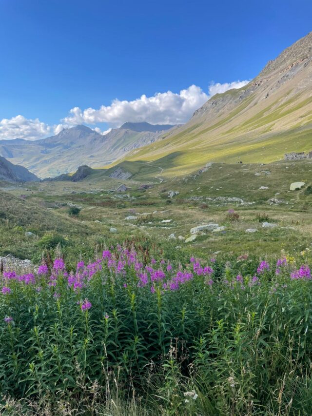 trek dans les Écrins : sur les plus beaux panoramas du massif