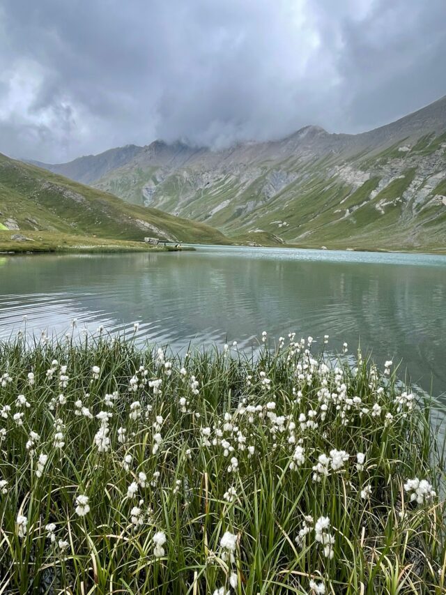 trek dans les Écrins : sur les plus beaux panoramas du massif