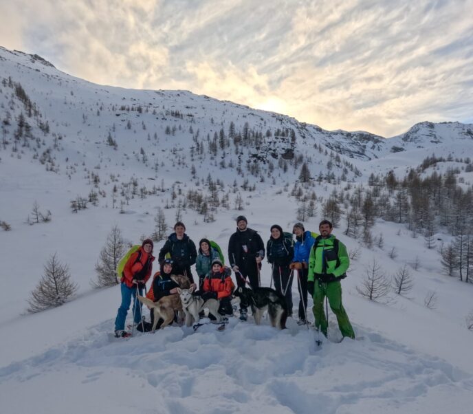 nouvel an queyras : chien de traineau, cani rando et vie de musher