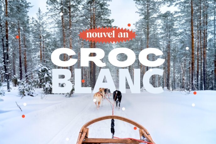 nouvel an queyras : chien de traineau, cani rando et vie de musher
