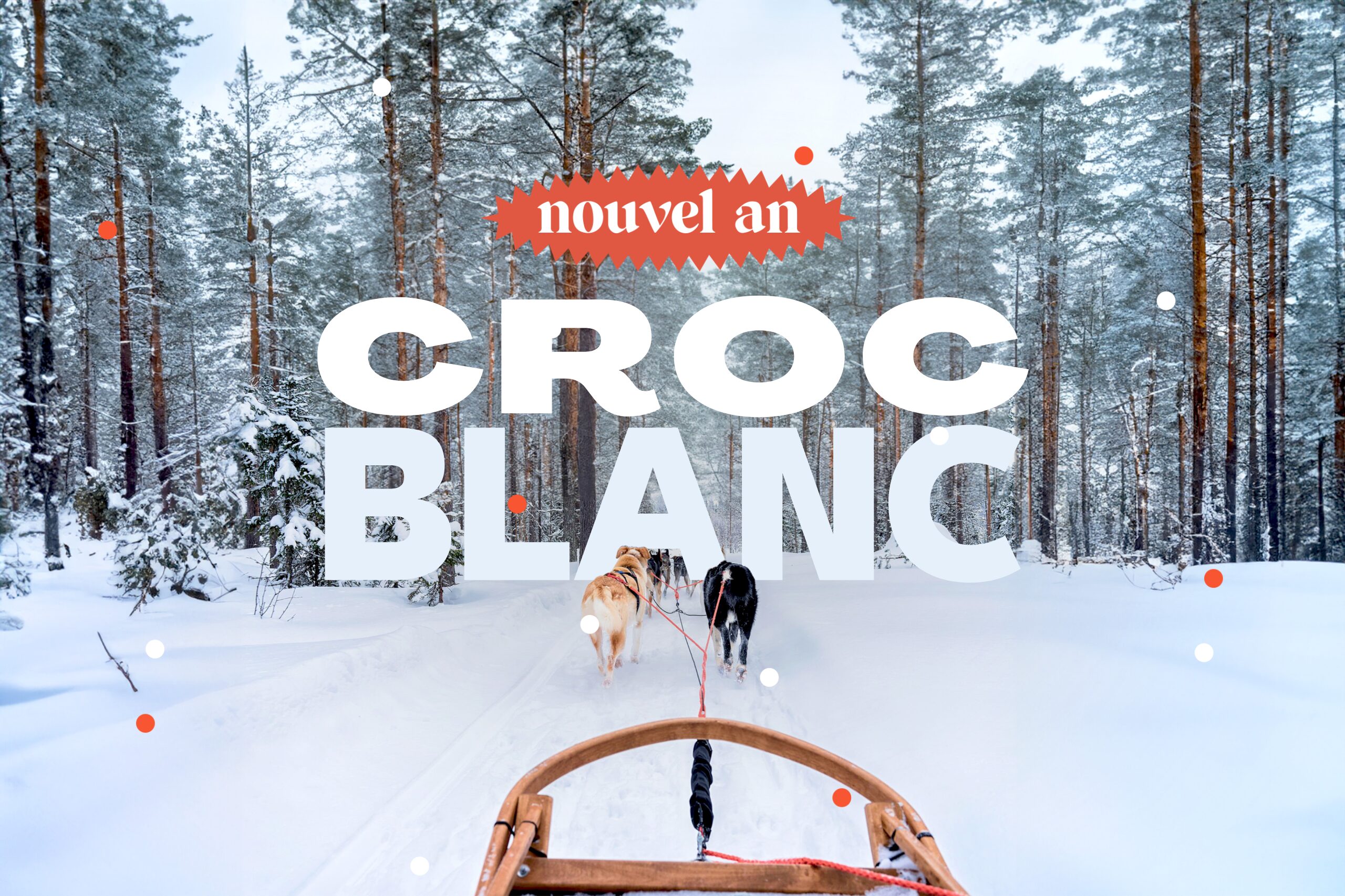 Croc Blanc : Nouvel An : chien de traîneau, cani-rando et vie de musher