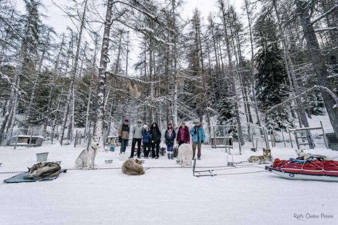 nouvel an queyras : chien de traineau, cani rando et vie de musher